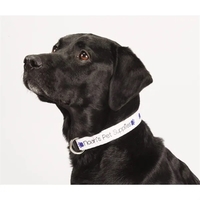 20"L x 1"W adjustable pet collar... from ASI 66887 PCNA / Bullet