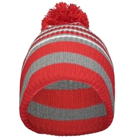 Spirit Pom Beanie