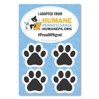 2 in 1 Oval Car Magnet with 4 Paw Prints