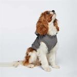 Doggie Skins 3-End Fleece Hoodie