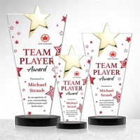 Mantella Gold Star VividPrint™ Award - Black... from ASI 84592 St Regis Group...