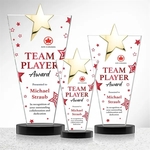 Mantella Gold Star VividPrint™ Award - Black