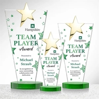 Mantella Gold Star VividPrint™ Award - Green... from ASI 84592 St Regis Group...