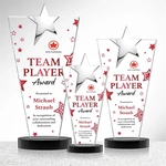 Mantella Chrome Star VividPrint™ Award - Black