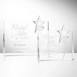 Bradenton Chrome Star Award