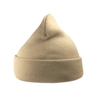Atlantis Headwear Sustainable 12" Knit... from ASI 84358 S&S Activewear
