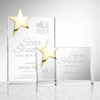 Denham Star Award - Gold