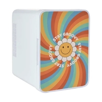 4L Mini Fridge with Decal