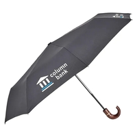 CEO Umbrella (4 Imprints)