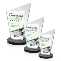 Wiltshire VividPrint™ Award - Black... from ASI 84592 St Regis Group / St Regis