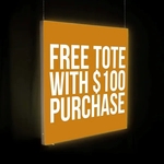 48" x 48" Aerial SEG Glo Ceiling-Mounted Kit