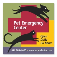 3 1/2" x 3 1/2" square shaped magnets with four color... from ASI 68507 The...