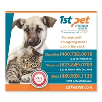 3 1/2" x 4" rectangle shaped magnet with four color process... from ASI 68507...