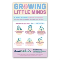 Rectangle Magnet 5 x 8