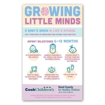 Rectangle Magnet 5 x 8