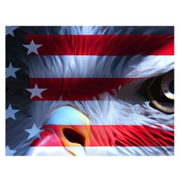 Custom Flag 4 x 6 Ft.