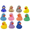 Rubber Mid Size Spring Time Ducks