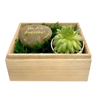 You are Awesome Succulent Gift Box
