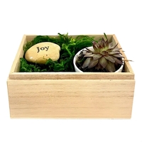 Joy Succulent Gift Box