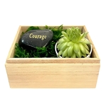 Courage Succulent Gift Box