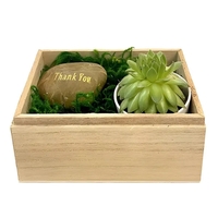 Thank You Succulent Gift Box