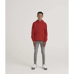 Youth College Hoodie