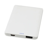 Ravenswood Slim 2500mAh UL Power Bank