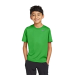 Nike Youth Team rLegend Tee