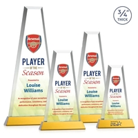 Imperial VividPrint™ Award on Newhaven Base - Amber