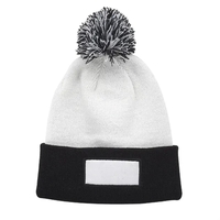 Dual Tone Patch Pompom Beanie
