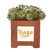 Assorted Succulents in Wood Ceramic Pot