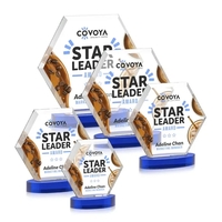 The Barnett VividPrint™ Award features a beautifully beveled Starfire Crystal...