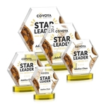 Barnett VividPrint™ Award on Alberton Base - Gold