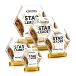 Barnett VividPrint™ Award on Alberton Base - Amber