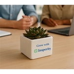 Premium Appreciation Gift Kit - Live succulent