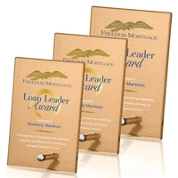 Atchison Russet Rectangle VividPrint™ Award - Silver... from ASI 84592 St...