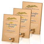 Atchison Russet Rectangle VividPrint™ Award - Silver