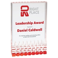 6" x 1" x 8" acrylic freestanding award with frosted imprint.... from ASI...