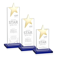 Bryanston Gold Star Award - Blue