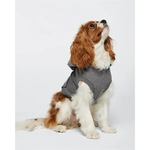 Doggie Skins Doggie 3-End Fleece Hooded Sweatshirt