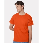 Hanes Unisex Authentic T-Shirt