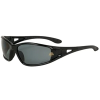Bolle Lowrider Polarized Glasses