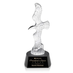 Staffordshire Eagle Award - Black