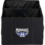 Recycled Trunk Organizer