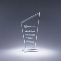 Motion Crystal Award