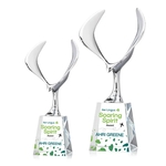 Maverick Eagle VividPrint™ Award on Celestina Base - Clear