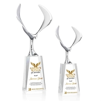 Maverick Eagle VividPrint™ Award on Cairns Base - Clear