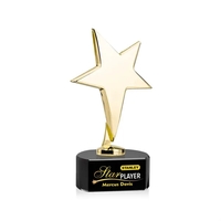 Tuscany Gold Star VividPrint™ Award on Paragon Base - Black