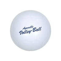 Volleyball Shape Stress Ball