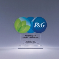 3/8" Thick Custom Cut Acrylic Award